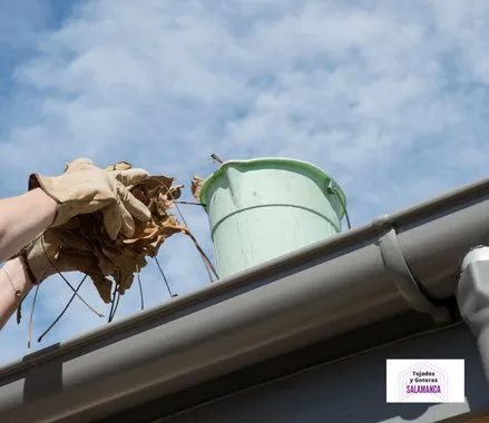 Limpieza de Canalones en Salamanca