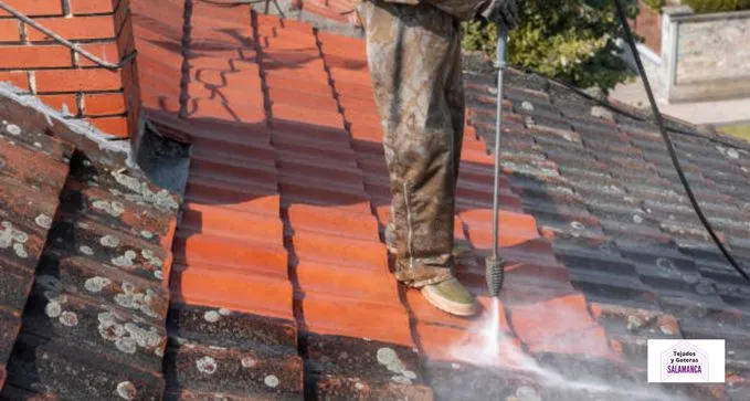 Limpieza de Tejados en Peñaranda de Bracamonte, Salamanca