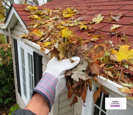 Mantenimiento de Tejados en Guijuelo, Salamanca