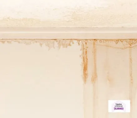 Reparar Goteras Urgentes en Alba de Tormes