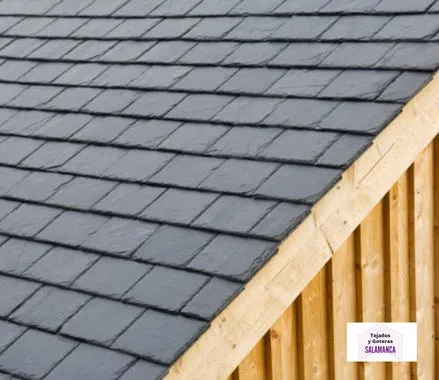 Tejados de Pizarra en Alba de Tormes