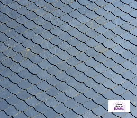 Tejados de Pizarra en Salamanca
